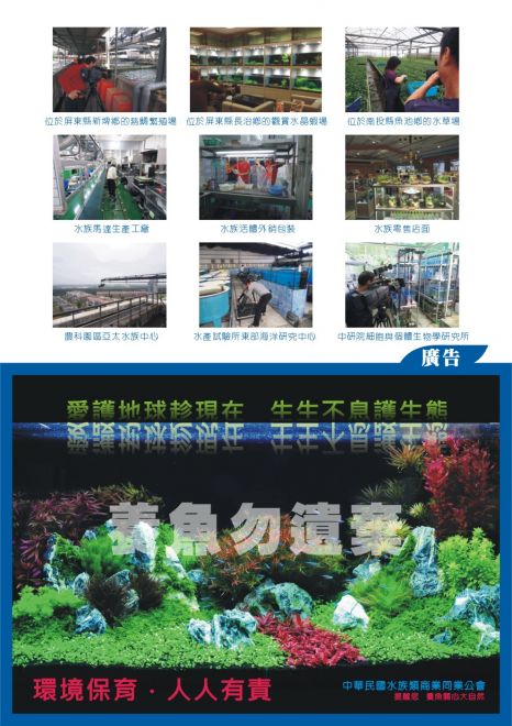 水族の情報040