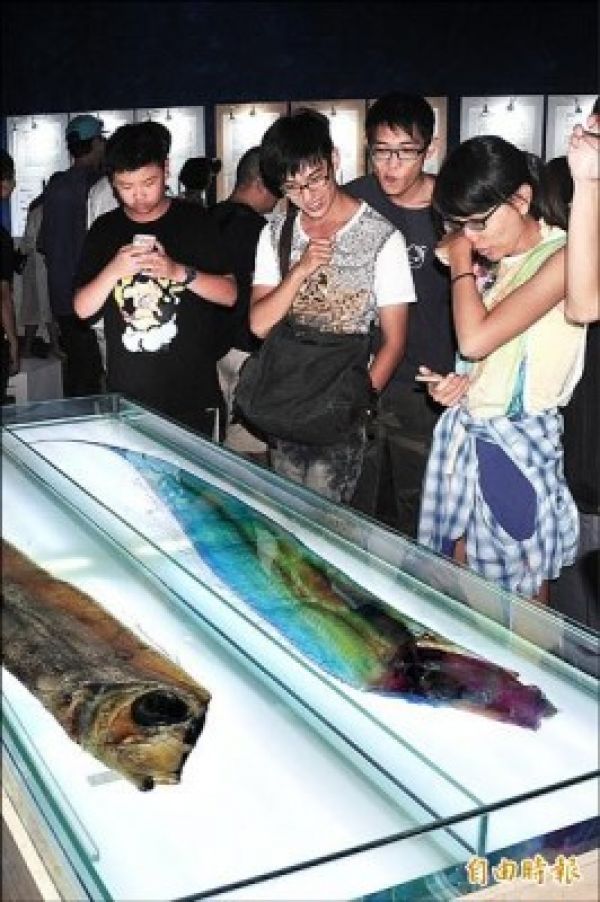 絢麗海生館 染色透明魚標本展
