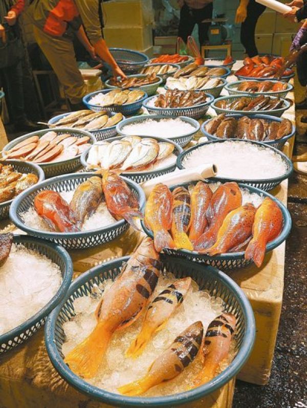 「台灣快成無魚島」 北海岸魚種剩4分之1