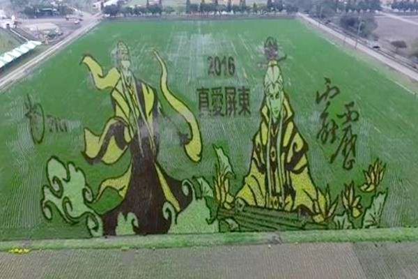 屏東熱帶農業博覽會 彩虹花海3D霹靂彩繪稻田太精彩