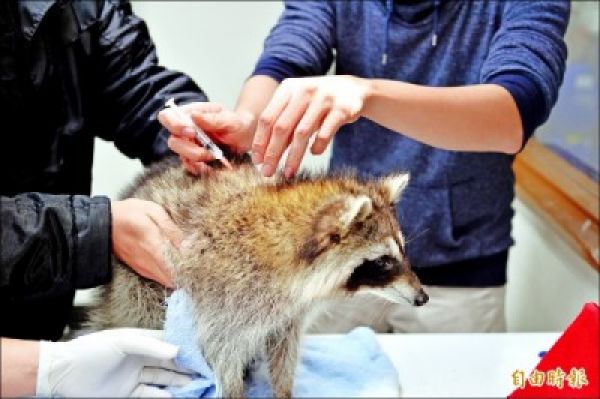 寵物未打狂犬病疫苗 罰款3萬起跳