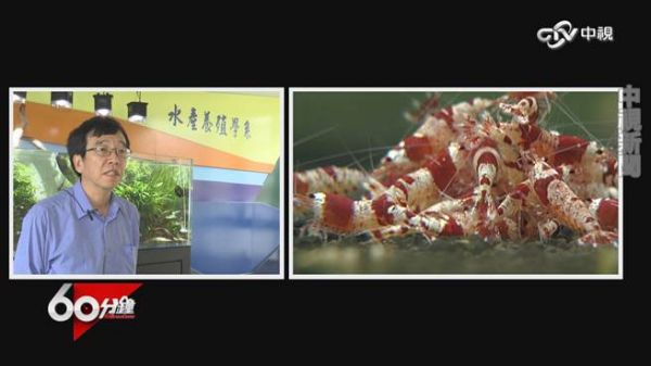 新政府必知的台灣優勢