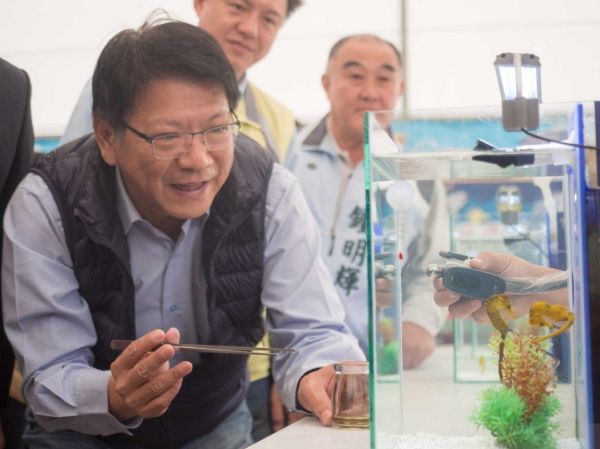養魚不稀奇 在家裡養色彩鮮豔的海馬才夠看