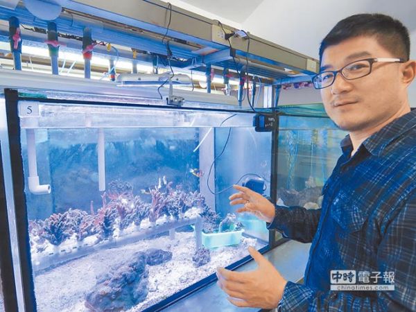 外木山漁港珊瑚 海科館代孕
