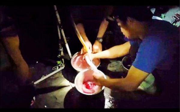 生態旅遊變調 殺保育蛇烤來吃
