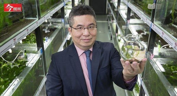 一隻小蝦賣12萬 門外漢闖出13倍業績