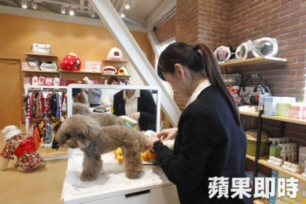 寵物美容太好賺　國稅局鎖定查稅