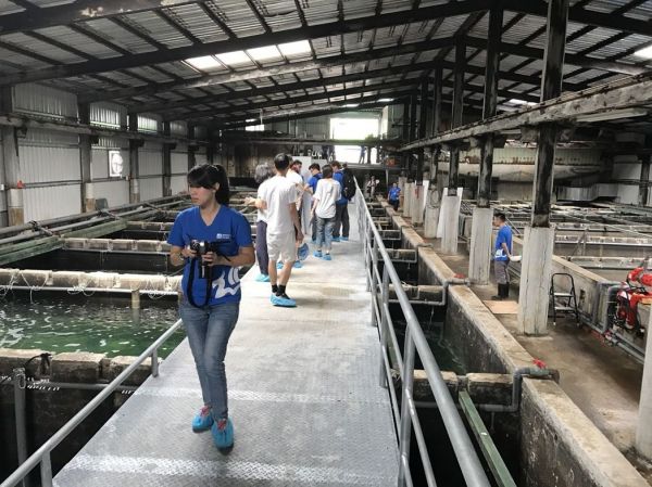 海科館水族館魚來了 但必須「寄養」在外