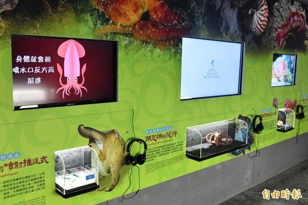 揭密海洋生物移動絕招 原來與人類科技息息相關