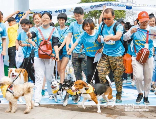 貓奴狗僕激增 陸寵物2.5億隻