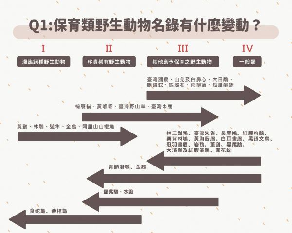 新修保育類名單正式公告