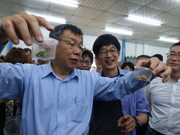 螢光魚加藍眼淚太驚豔 柯文哲：來台北吧！