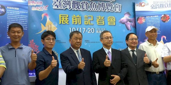 觀賞魚南向攻印度市場 黃金甲神仙魚1對16萬